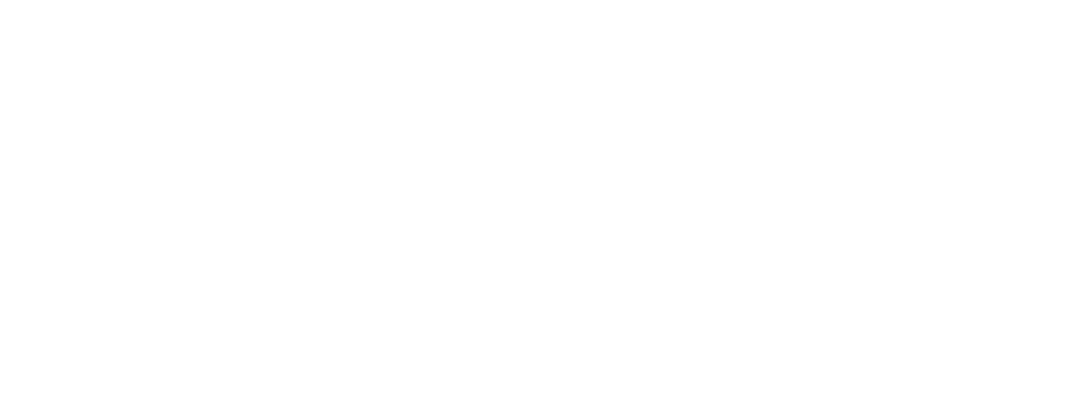 Holly Oak Tree and Landscaping Services